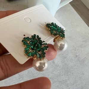 Brand New Earrings